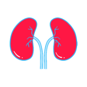 Book appointments with Nephrology doctors