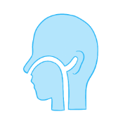 Book appointments with Otolaryngology (ent) doctors