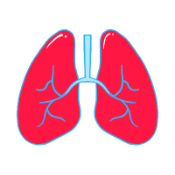 Book appointments with Pulmonology doctors