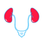 Book appointments with Urology doctors